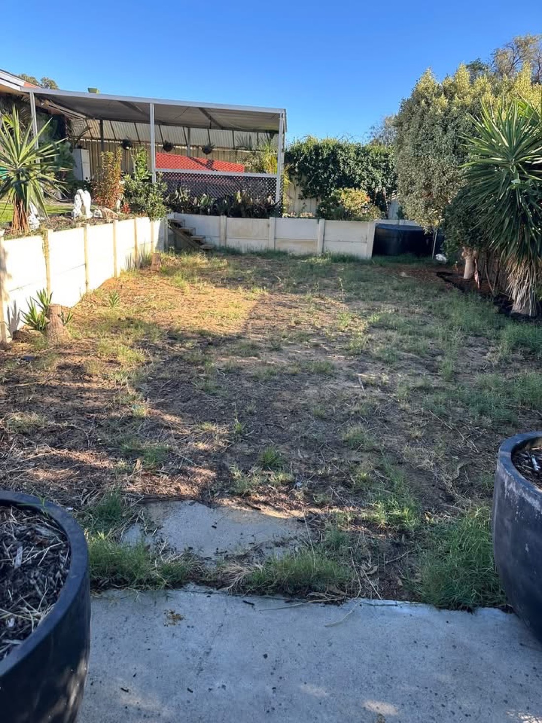 A long, tired backyard with patchy dead grass and weeds at sunset, before installation.